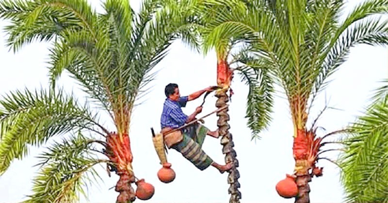 agro tourism in bangladesh
