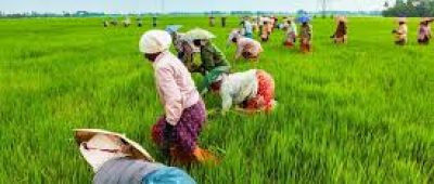 agro tourism bangladesh23